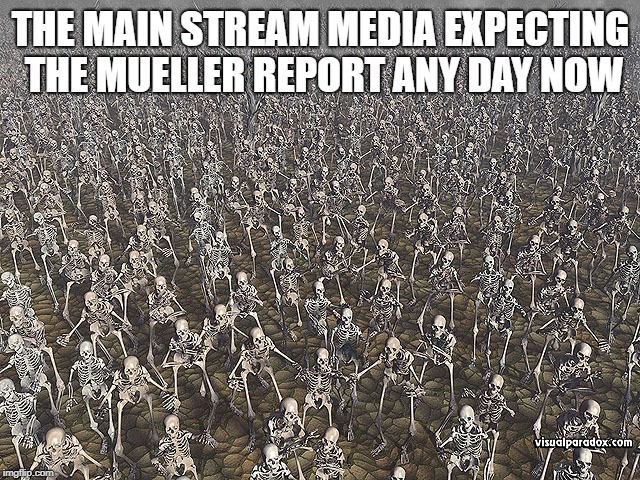 Media says Mueller Report Coming Any Day now | THE MAIN STREAM MEDIA EXPECTING THE MUELLER REPORT ANY DAY NOW | image tagged in mainstream media,mueller report | made w/ Imgflip meme maker