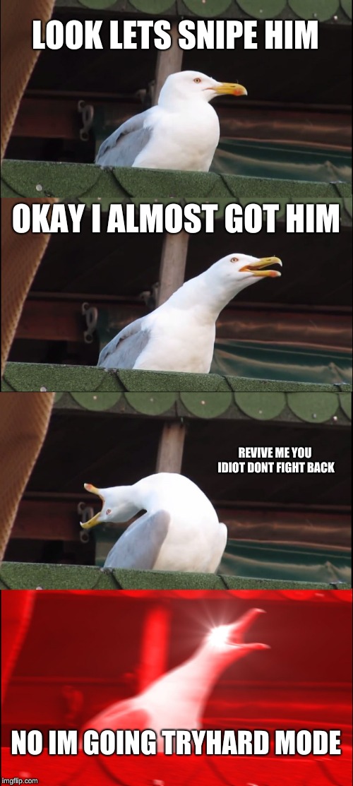 Inhaling Seagull | LOOK LETS SNIPE HIM; OKAY I ALMOST GOT HIM; REVIVE ME YOU IDIOT DONT FIGHT BACK; NO IM GOING TRYHARD MODE | image tagged in memes,inhaling seagull | made w/ Imgflip meme maker