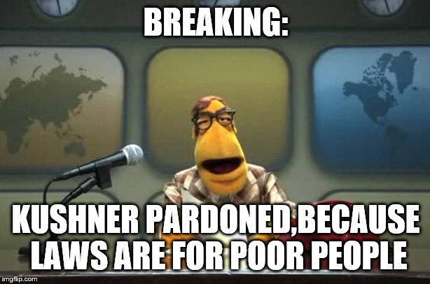 Muppet News Flash | BREAKING: KUSHNER PARDONED,BECAUSE LAWS ARE FOR POOR PEOPLE | image tagged in muppet news flash | made w/ Imgflip meme maker