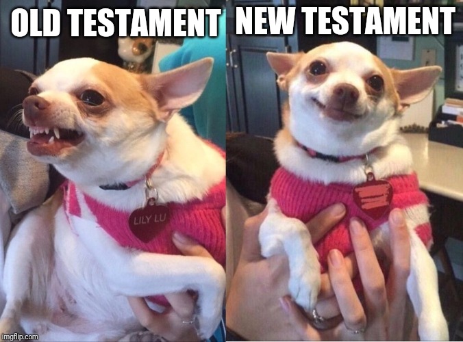 Repentant Chihuahua | OLD TESTAMENT; NEW TESTAMENT | image tagged in repentant chihuahua | made w/ Imgflip meme maker