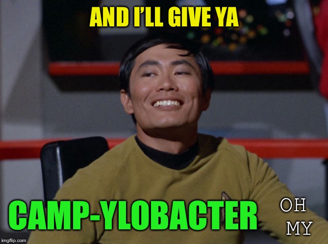 Sulu smug | AND I’LL GIVE YA CAMP-YLOBACTER OH MY | image tagged in sulu smug | made w/ Imgflip meme maker