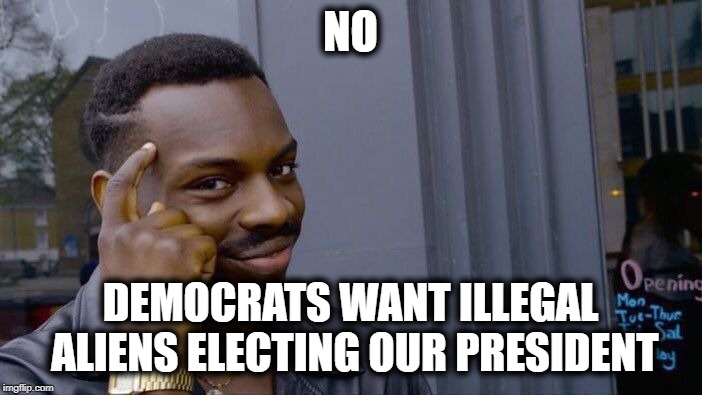Roll Safe Think About It Meme | NO DEMOCRATS WANT ILLEGAL ALIENS ELECTING OUR PRESIDENT | image tagged in memes,roll safe think about it | made w/ Imgflip meme maker