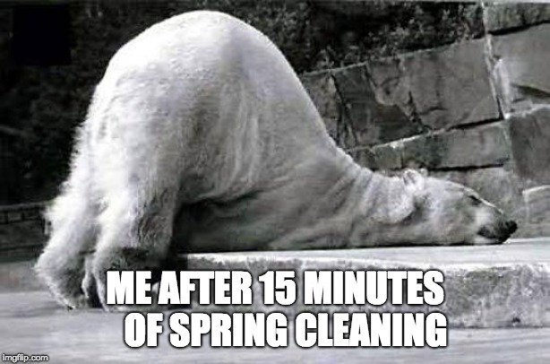 tired polar bear |  ME AFTER 15 MINUTES 

OF SPRING CLEANING | image tagged in tired polar bear | made w/ Imgflip meme maker