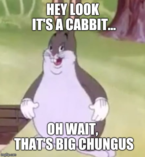 Big Chungus | HEY LOOK IT'S A CABBIT... OH WAIT, THAT'S BIG CHUNGUS | image tagged in big chungus | made w/ Imgflip meme maker