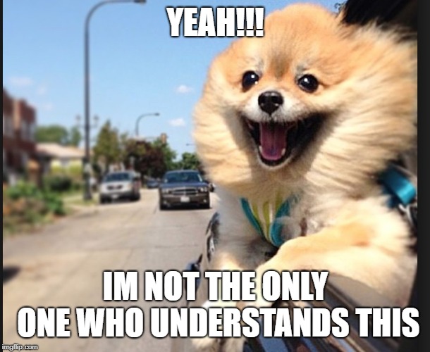Lil Yip & Big Woof | YEAH!!! IM NOT THE ONLY ONE WHO UNDERSTANDS THIS | image tagged in lil yip  big woof | made w/ Imgflip meme maker