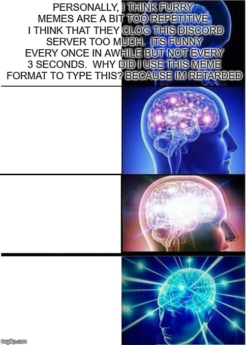 Expanding Brain | PERSONALLY, I THINK FURRY MEMES ARE A BIT TOO REPETITIVE.  I THINK THAT THEY CLOG THIS DISCORD SERVER TOO MUCH.  ITS FUNNY EVERY ONCE IN AWHILE BUT NOT EVERY 3 SECONDS.  WHY DID I USE THIS MEME FORMAT TO TYPE THIS? BECAUSE IM RETARDED | image tagged in memes,expanding brain | made w/ Imgflip meme maker