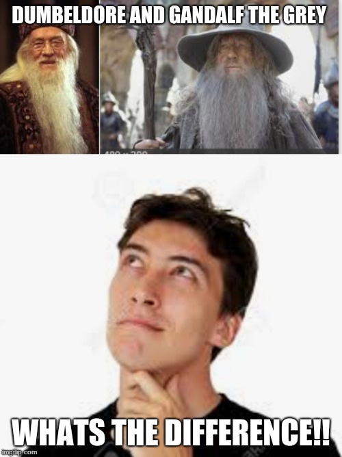 WITD | DUMBELDORE AND GANDALF THE GREY; WHATS THE DIFFERENCE!! | image tagged in harry potter | made w/ Imgflip meme maker