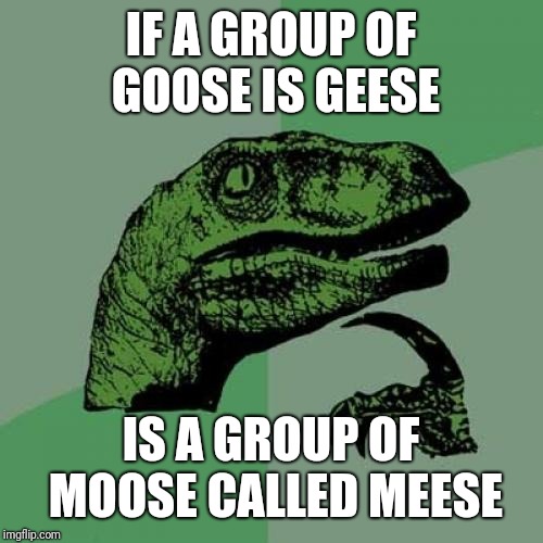 Philosoraptor Meme | IF A GROUP OF GOOSE IS GEESE; IS A GROUP OF MOOSE CALLED MEESE | image tagged in memes,philosoraptor | made w/ Imgflip meme maker