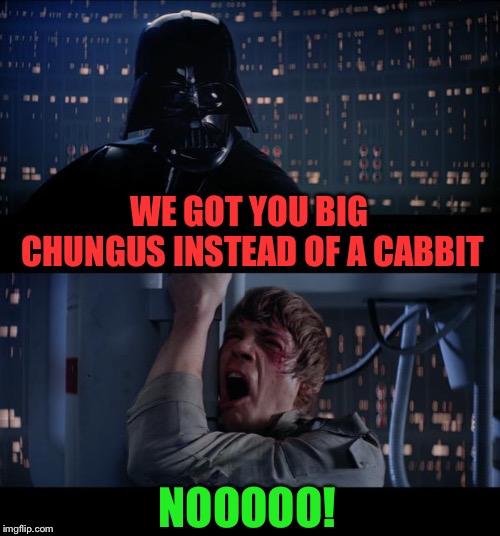 Star Wars No Meme | WE GOT YOU BIG CHUNGUS INSTEAD OF A CABBIT NOOOOO! | image tagged in memes,star wars no | made w/ Imgflip meme maker