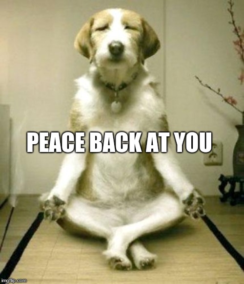 Inner Peace Dog | PEACE BACK AT YOU | image tagged in inner peace dog | made w/ Imgflip meme maker