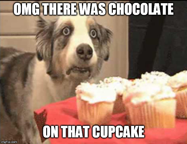 OMG THERE WAS CHOCOLATE ON THAT CUPCAKE | made w/ Imgflip meme maker