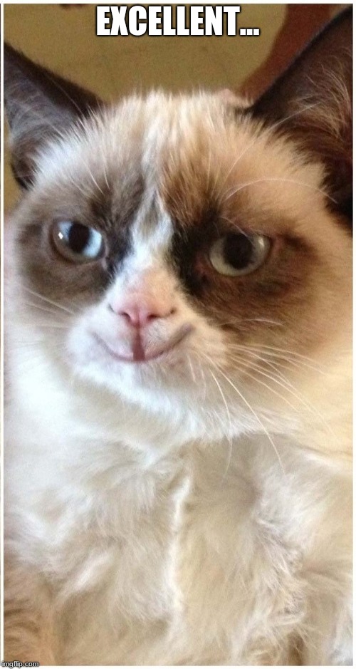 Smiling Grumpy Cat 2 | EXCELLENT... | image tagged in smiling grumpy cat 2 | made w/ Imgflip meme maker