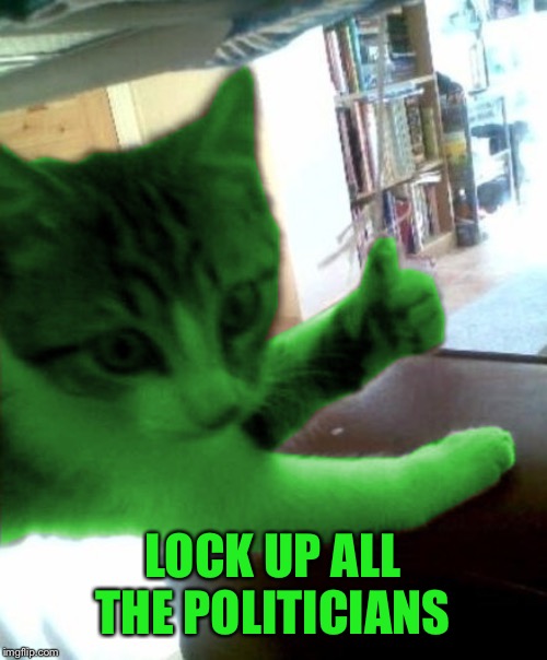 thumbs up RayCat | LOCK UP ALL THE POLITICIANS | image tagged in thumbs up raycat | made w/ Imgflip meme maker