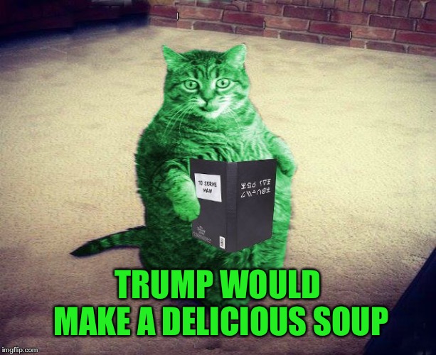 Best RayCat Meme Eva | TRUMP WOULD MAKE A DELICIOUS SOUP | image tagged in best raycat meme eva | made w/ Imgflip meme maker