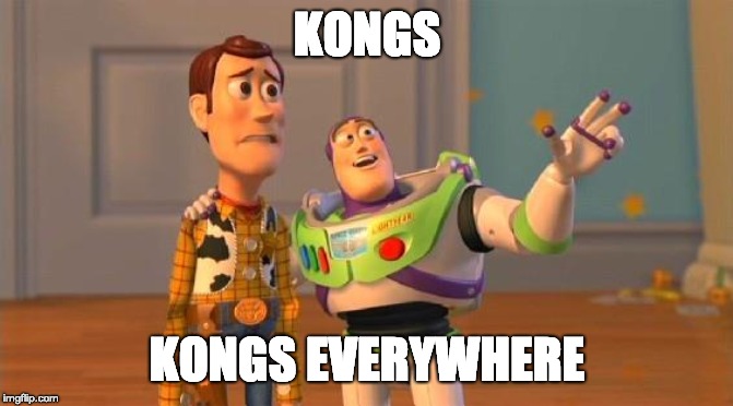 TOYSTORY EVERYWHERE | KONGS; KONGS EVERYWHERE | image tagged in toystory everywhere,discgolf | made w/ Imgflip meme maker