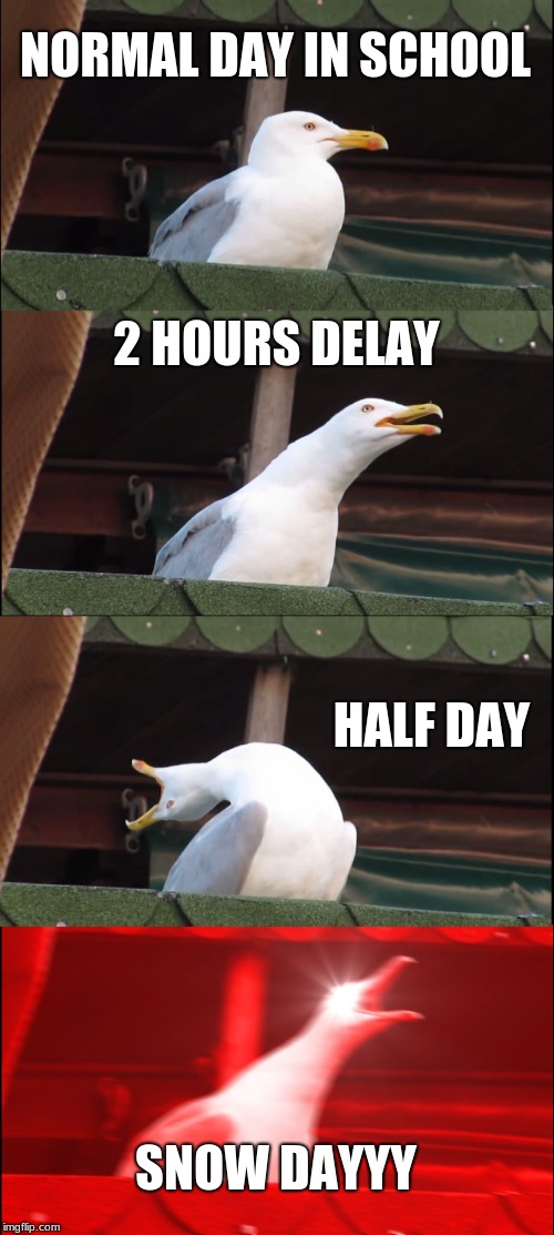 Inhaling Seagull Meme | NORMAL DAY IN SCHOOL; 2 HOURS DELAY; HALF DAY; SNOW DAYYY | image tagged in memes,inhaling seagull | made w/ Imgflip meme maker