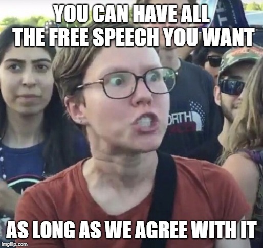 Triggered feminist | YOU CAN HAVE ALL THE FREE SPEECH YOU WANT AS LONG AS WE AGREE WITH IT | image tagged in triggered feminist | made w/ Imgflip meme maker