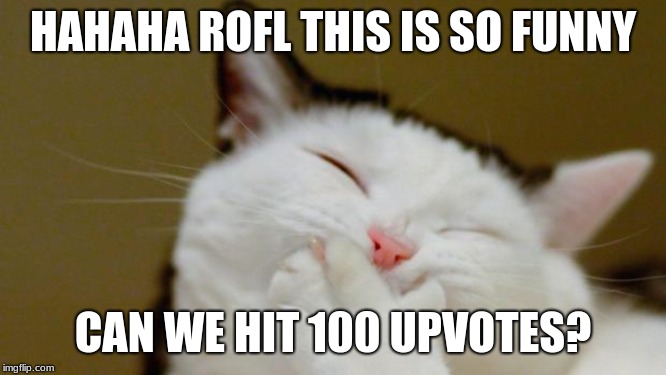 Laughing Cat | HAHAHA ROFL THIS IS SO FUNNY CAN WE HIT 100 UPVOTES? | image tagged in laughing cat | made w/ Imgflip meme maker