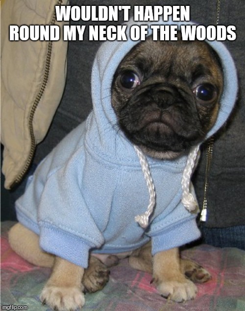 Pug Life | WOULDN'T HAPPEN ROUND MY NECK OF THE WOODS | image tagged in pug life | made w/ Imgflip meme maker