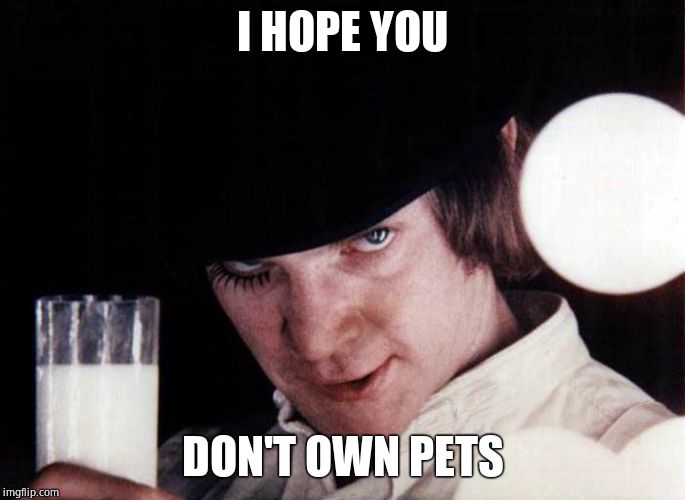 clockwork orange | I HOPE YOU DON'T OWN PETS | image tagged in clockwork orange | made w/ Imgflip meme maker