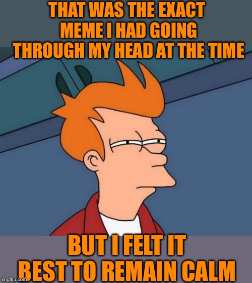 Futurama Fry Meme | THAT WAS THE EXACT MEME I HAD GOING THROUGH MY HEAD AT THE TIME BUT I FELT IT BEST TO REMAIN CALM | image tagged in memes,futurama fry | made w/ Imgflip meme maker