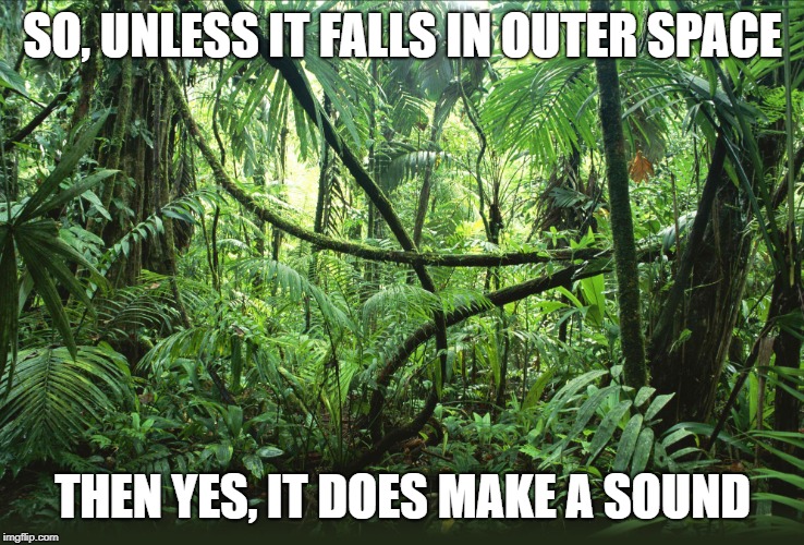 Jungle | SO, UNLESS IT FALLS IN OUTER SPACE; THEN YES, IT DOES MAKE A SOUND | image tagged in jungle | made w/ Imgflip meme maker