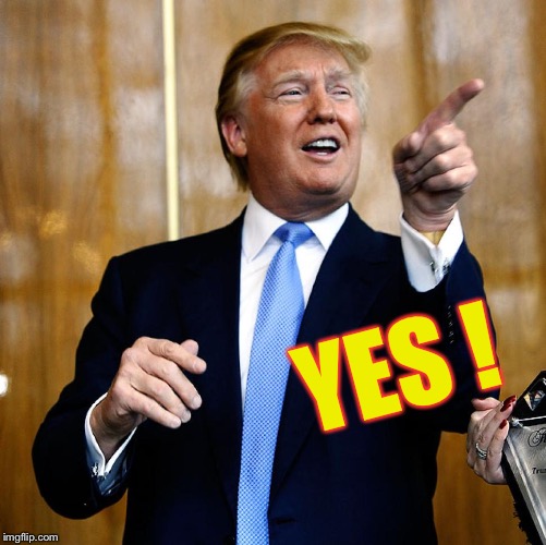 Donal Trump Birthday | YES ! | image tagged in donal trump birthday | made w/ Imgflip meme maker