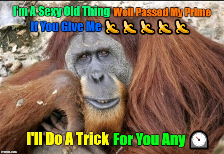 Feed Me Rhymes! ツ 44colt's Meme Template Challenge March 18-24 (A 44colt event) | Well Passed My Prime; I’m A Sexy Old Thing; If You Give Me 🍌🍌🍌🍌🍌; For You Any ⏲; I'll Do A Trick | image tagged in creepy condescending monkey,memes,44colt,4colt's meme template challenge,monkey,rhymes | made w/ Imgflip meme maker