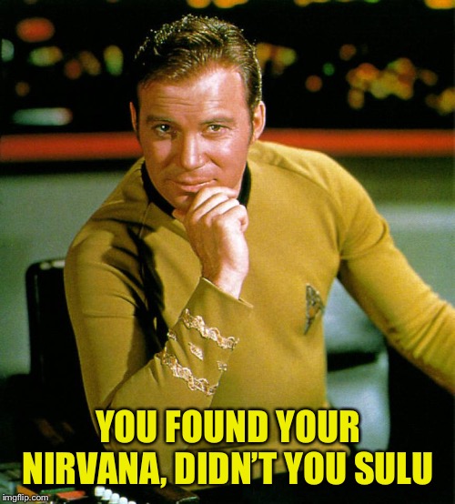 captain kirk | YOU FOUND YOUR NIRVANA, DIDN’T YOU SULU | image tagged in captain kirk | made w/ Imgflip meme maker