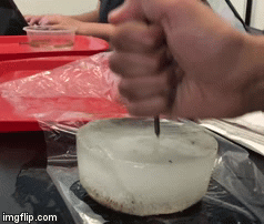 Ice smash | image tagged in gifs,ice,smash | made w/ Imgflip video-to-gif maker