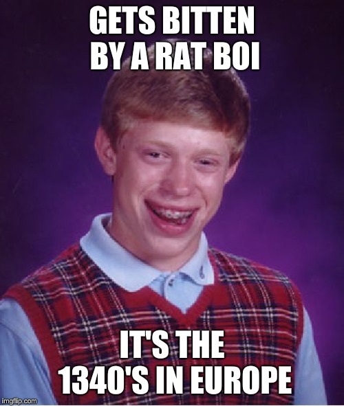 Bad Luck Brian | GETS BITTEN BY A RAT BOI; IT'S THE 1340'S IN EUROPE | image tagged in memes,bad luck brian | made w/ Imgflip meme maker