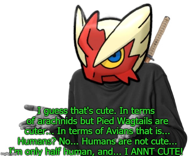 I guess I'll (Blaze the Blaziken) | I guess that's cute. In terms of arachnids but Pied Wagtails are cuter... In terms of Avians that is... Humans? No... Humans are not cute... | image tagged in i guess i'll blaze the blaziken | made w/ Imgflip meme maker