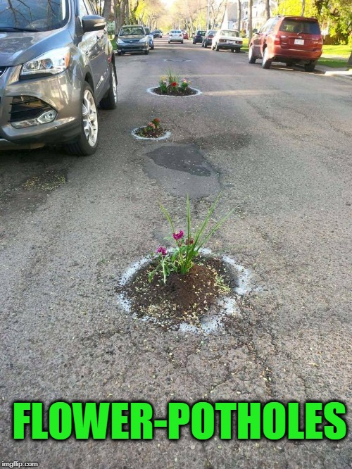 FLOWER-POTHOLES | image tagged in potholes,bad roads | made w/ Imgflip meme maker