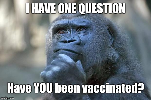 I'm Curious To See If The Parents That Choose Not To Vaccinate Their Children Were Vaccinated.  Not A Fight. Just A Question | I HAVE ONE QUESTION; Have YOU been vaccinated? | image tagged in that is the question,vaccines,vaccinations,questions,memes,answers | made w/ Imgflip meme maker