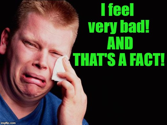 cry | I feel very bad!  AND THAT'S A FACT! | image tagged in cry | made w/ Imgflip meme maker