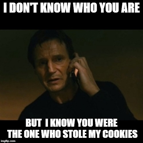 Liam Neeson Taken | I DON'T KNOW WHO YOU ARE; BUT  I KNOW YOU WERE THE ONE WHO STOLE MY COOKIES | image tagged in memes,liam neeson taken | made w/ Imgflip meme maker