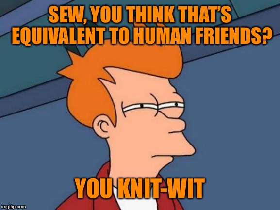 Futurama Fry Meme | SEW, YOU THINK THAT’S EQUIVALENT TO HUMAN FRIENDS? YOU KNIT-WIT | image tagged in memes,futurama fry | made w/ Imgflip meme maker