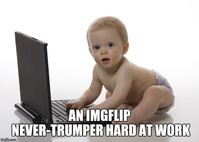 Computer baby | AN IMGFLIP NEVER-TRUMPER HARD AT WORK | image tagged in computer baby | made w/ Imgflip meme maker