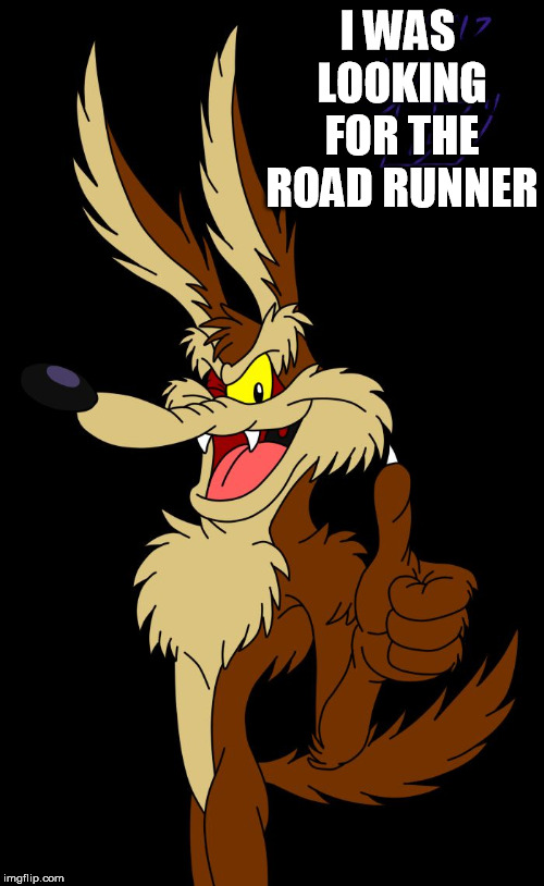 wiley e coyote | I WAS LOOKING FOR THE ROAD RUNNER | image tagged in wiley e coyote | made w/ Imgflip meme maker