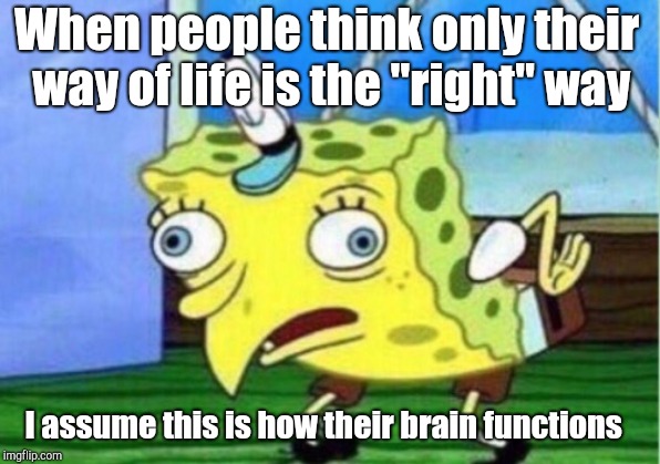 Mocking Spongebob | When people think only their way of life is the "right" way; I assume this is how their brain functions | image tagged in memes,mocking spongebob | made w/ Imgflip meme maker