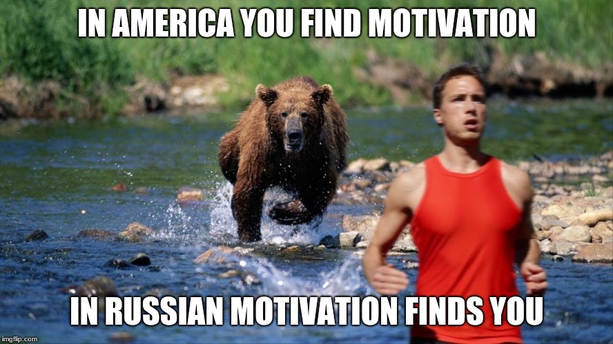 Let this be everyones motivation for the day. (And no im not dead yet. I was just off for a long time) | IN AMERICA YOU FIND MOTIVATION; IN RUSSIAN MOTIVATION FINDS YOU | image tagged in motivation,bear,random tag,russia,america | made w/ Imgflip meme maker