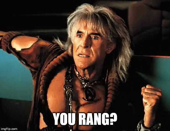 Kahn | YOU RANG? | image tagged in kahn | made w/ Imgflip meme maker