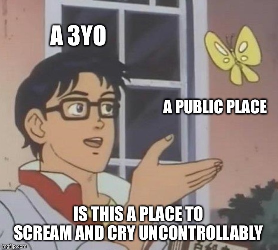 Is This A Pigeon Meme | A 3YO; A PUBLIC PLACE; IS THIS A PLACE TO SCREAM AND CRY UNCONTROLLABLY | image tagged in memes,is this a pigeon | made w/ Imgflip meme maker