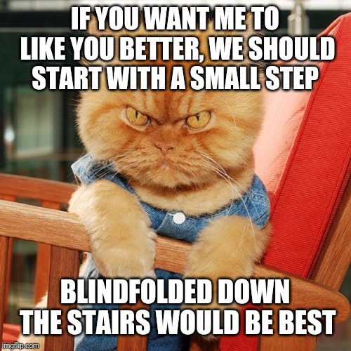 Grumpy Cat....is that you? | IF YOU WANT ME TO LIKE YOU BETTER, WE SHOULD START WITH A SMALL STEP; BLINDFOLDED DOWN THE STAIRS WOULD BE BEST | image tagged in garfi the angry cat,grumpy cat,memes,cats,murder ahoy,run for your life | made w/ Imgflip meme maker