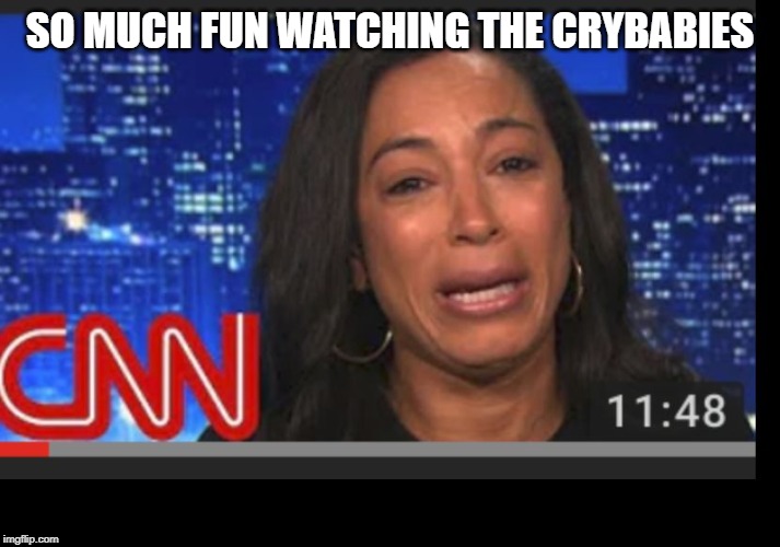 CNN Crying | SO MUCH FUN WATCHING THE CRYBABIES | image tagged in cnn crying | made w/ Imgflip meme maker