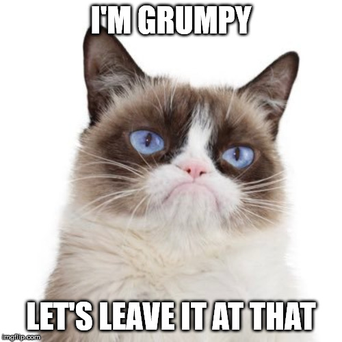 I'M GRUMPY; LET'S LEAVE IT AT THAT | image tagged in grumpy cat | made w/ Imgflip meme maker