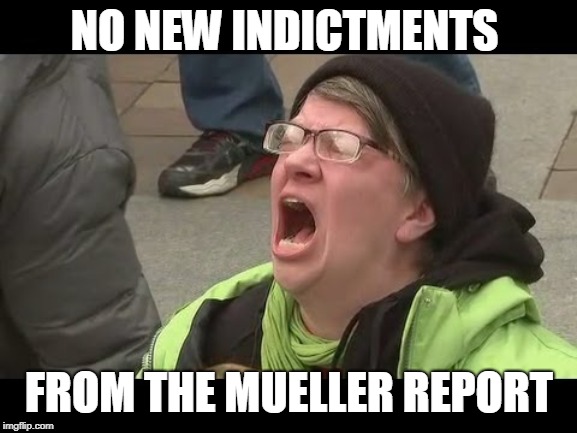 Liberal No | NO NEW INDICTMENTS; FROM THE MUELLER REPORT | image tagged in liberal no | made w/ Imgflip meme maker