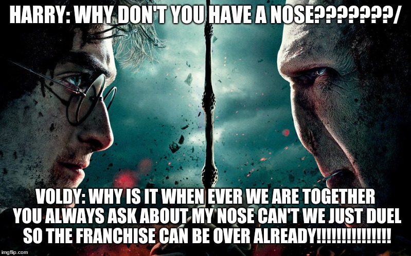 harry and voldemort | HARRY: WHY DON'T YOU HAVE A NOSE???????/; VOLDY: WHY IS IT WHEN EVER WE ARE TOGETHER YOU ALWAYS ASK ABOUT MY NOSE CAN'T WE JUST DUEL SO THE FRANCHISE CAN BE OVER ALREADY!!!!!!!!!!!!!!! | image tagged in harry and voldemort | made w/ Imgflip meme maker