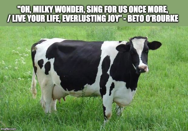 Weird Democrats: Line Of Poetry By Beto | "OH, MILKY WONDER, SING FOR US ONCE MORE, / LIVE YOUR LIFE, EVERLUSTING JOY” - BETO O’ROURKE | image tagged in cow,beto | made w/ Imgflip meme maker