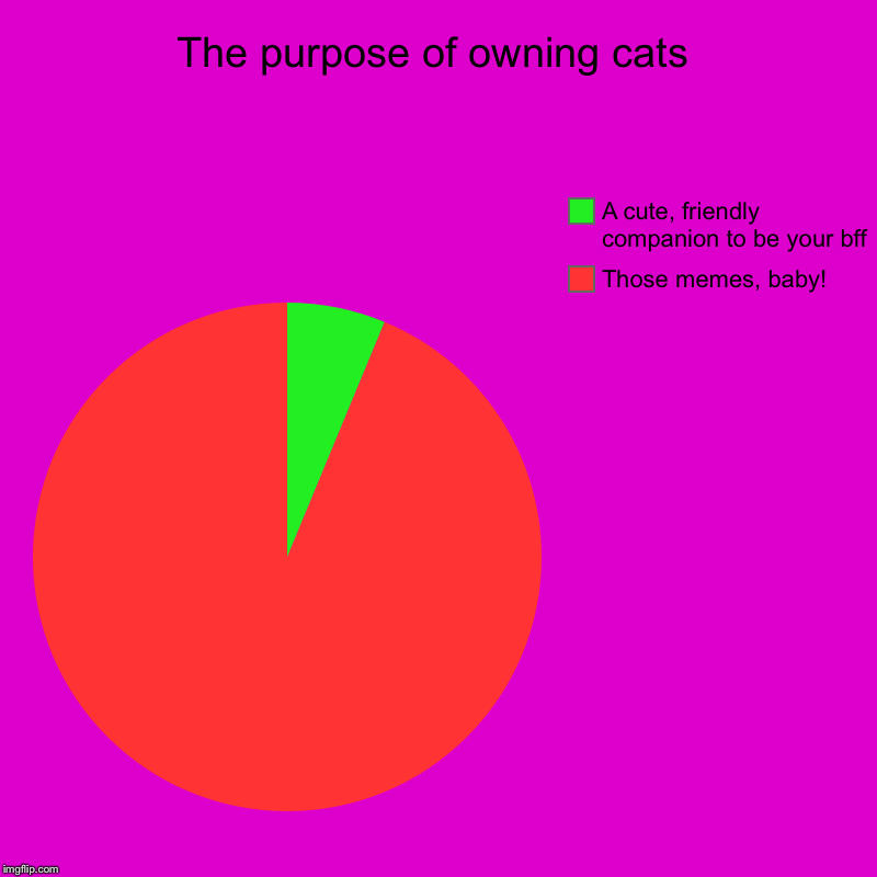 The purpose of owning cats | Those memes, baby!, A cute, friendly companion to be your bff | image tagged in charts,pie charts | made w/ Imgflip chart maker